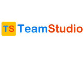 TeamStudio.in